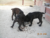 Cuccioli Cane Corso - Allevamento Valle del Salso Cuccioli Cane Corso - Allevamento Valle del Salso
