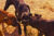 Cuccioli Cane Corso - Allevamento Valle del Salso Cuccioli Cane Corso - Allevamento Valle del Salso